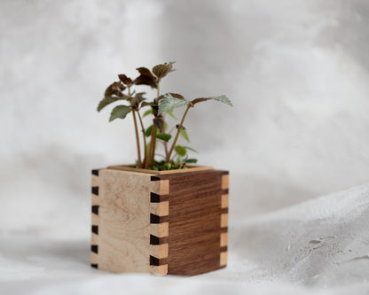 Dovetail Planter - 4" Cube