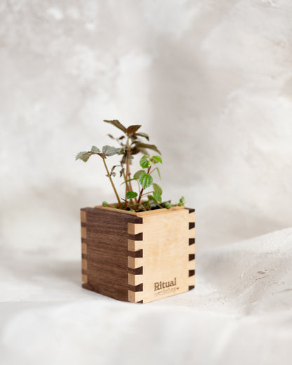 Dovetail Planter - 4" Cube
